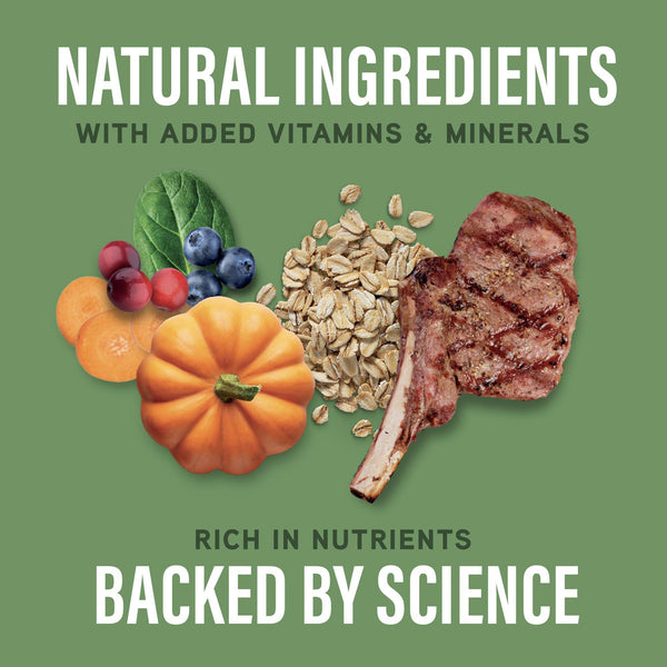 Natural Balance Specialized Nutrition Digestive & Immune Lamb & Oatmeal Dry Dog Food