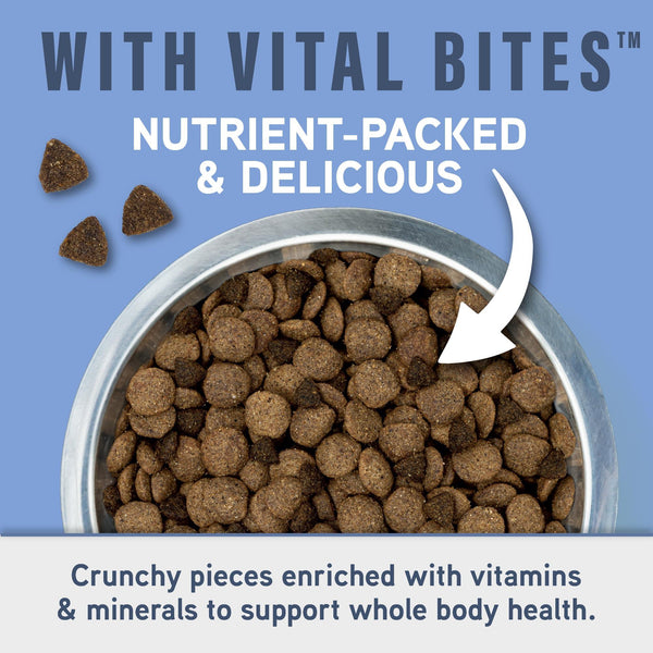 Natural Balance Specialized Nutrition Joint & Muscle Chicken & Oatmeal Dry Dog Food