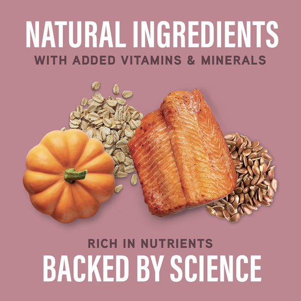 Natural Balance Specialized Nutrition Sensitive Skin & Stomach Salmon & Oatmeal Dry Dog Food