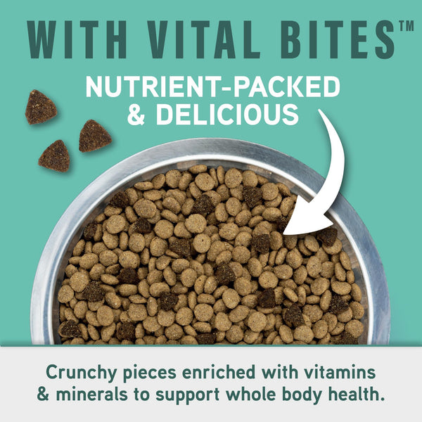Natural Balance Specialized Nutrition Digestive & Joint Chicken & Oatmeal Small Breed Dry Dog Food