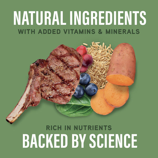 Natural Balance Specialized Nutrition Digestive & Immune Lamb & Brown Rice Wet Dog Food Can