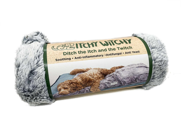 Dog Gone Smart Itchy Witchy Dog Blanket, Chocolate Truffle