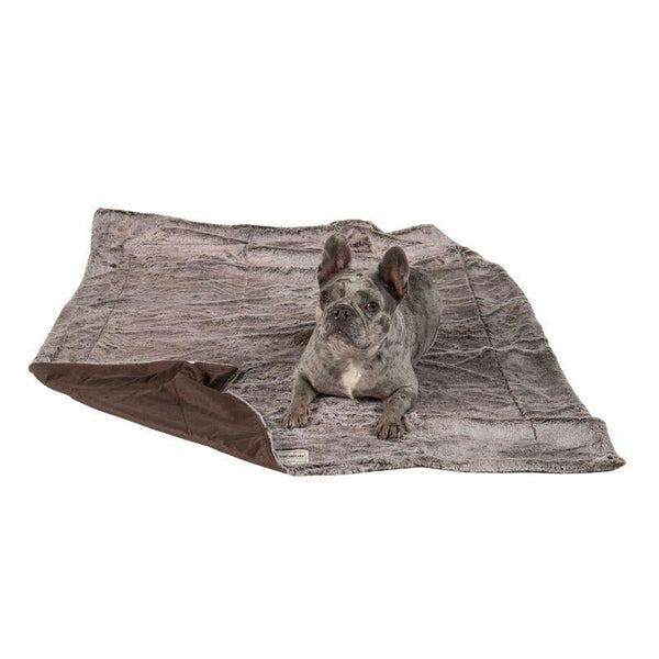 Dog Gone Smart Itchy Witchy Dog Blanket, Chocolate Truffle