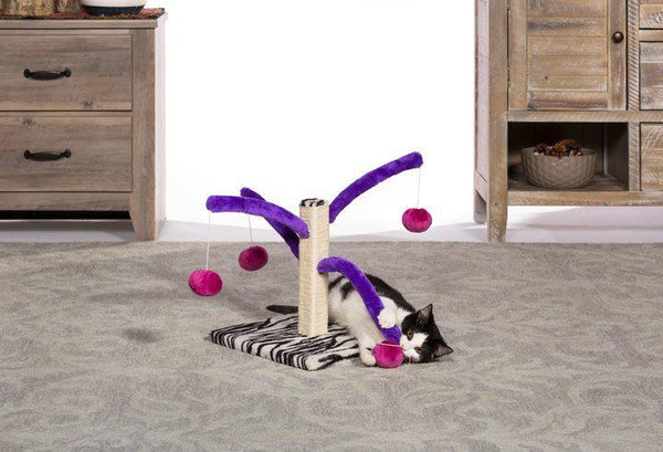 Prevue Pet Products Bounce 'n Spring Cat Scratching Post