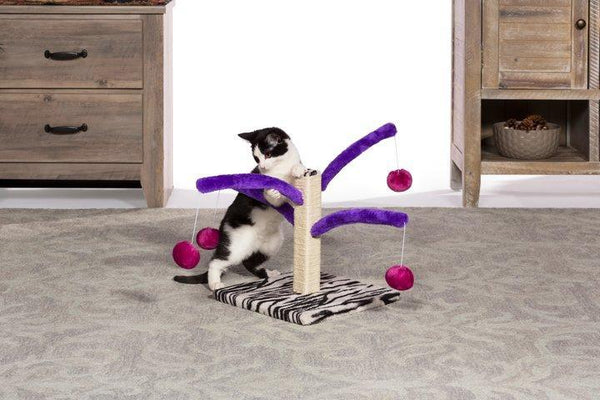 Prevue Pet Products Bounce 'n Spring Cat Scratching Post