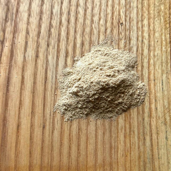 Blends for Life Dandelion Root+ Dog & Cat Supplement