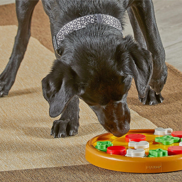 Brightkins Pizza Party Treat Puzzle Dog Toy