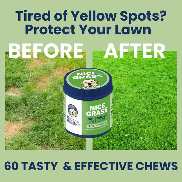 Under the Weather Nice Grass Urine Neutralizer Soft Chews for Dogs