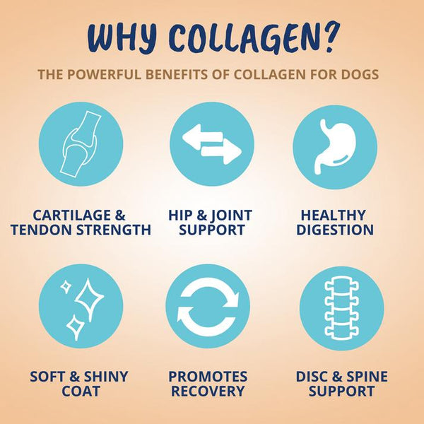 Under the Weather Collagen Soft Chews for Dogs