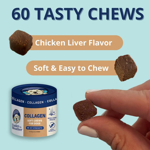 Under the Weather Collagen Soft Chews for Dogs