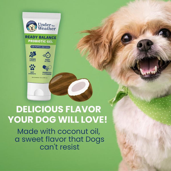Under the Weather Ready Balance Probiotic Gel Squeezable Dog Supplement