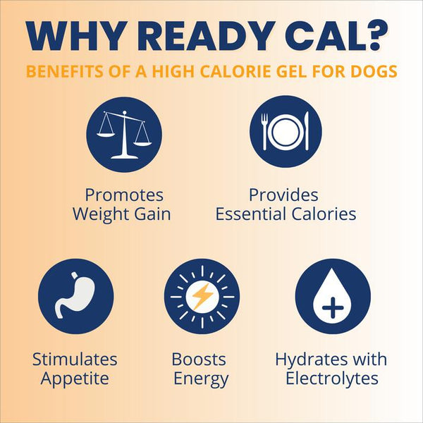Under the Weather Ready Cal PLUS Electrolytes Squeezable Dog Supplement
