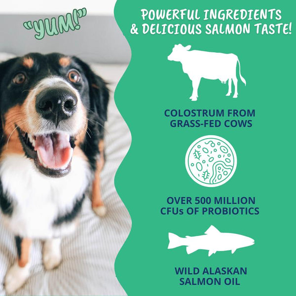 Under the Weather Vital Colostrum Gel Squeezable Dog Supplement