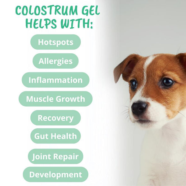 Under the Weather Vital Colostrum Gel Squeezable Dog Supplement