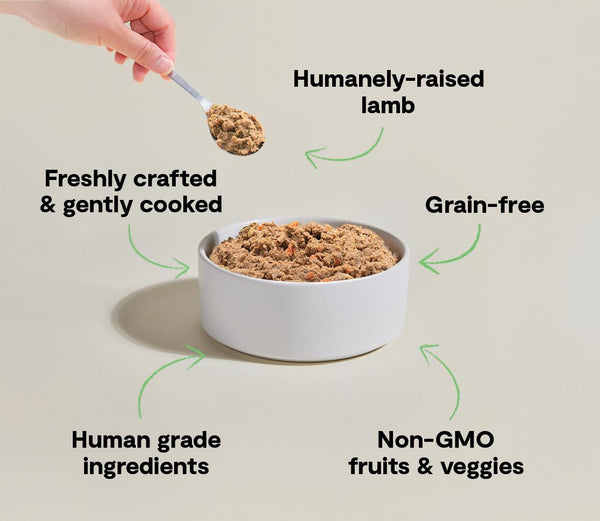 Open Farm Gently Cooked Pasture-Raised Lamb Recipe Grain-Free Frozen Dog Food