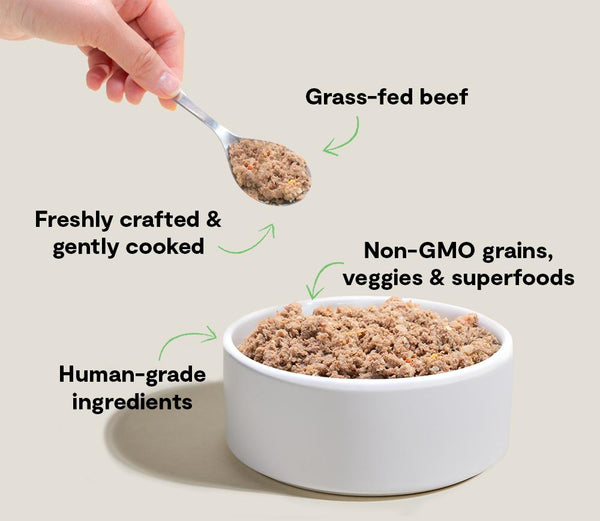 Open Farm Goodbowl Gently Cooked Grass-Fed Beef with Wholesome Grains Frozen Dog Food