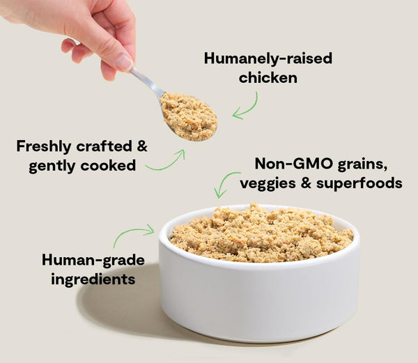 Open Farm Goodbowl Gently Cooked Harvest Chicken with Wholesome Grains Frozen Dog Food