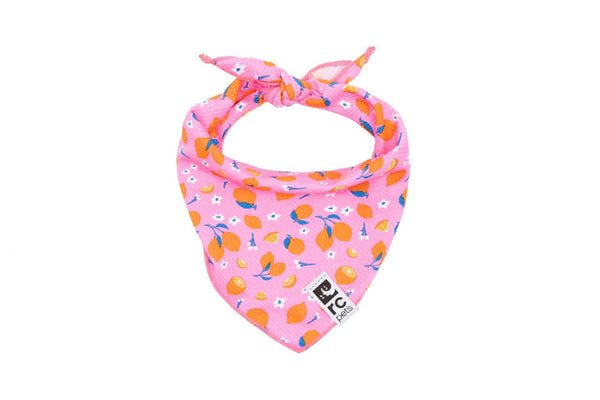 RC Pets Zephyr Cooling Bandana for Dogs, Zesty