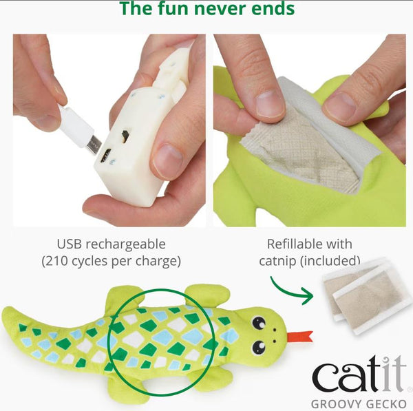 Catit Groovy Gecko Motion-Activated Cat Toy