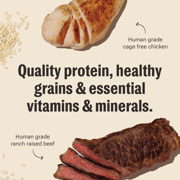 The Honest Kitchen Essential Clusters Whole Grain Beef & Chicken Dry Dog Food