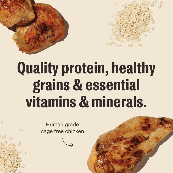 The Honest Kitchen Essential Clusters Whole Grain Chicken Dry Dog Food