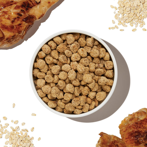 The Honest Kitchen Essential Clusters Whole Grain Chicken Dry Dog Food