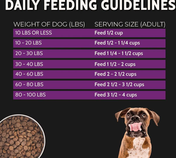 Zignature Select Cuts Kangaroo Formula with Super Grains Dry Dog Food