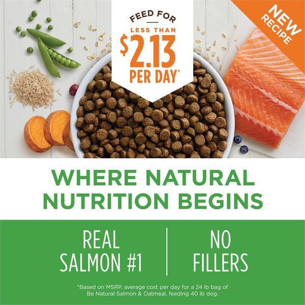 Instinct Be Natural Real Salmon & Brown Rice Dry Dog Food