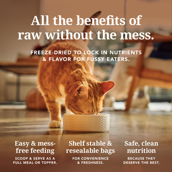 Feline Natural New Zealand Lamb & Venison Feast Grain-Free Freeze-Dried Cat Food