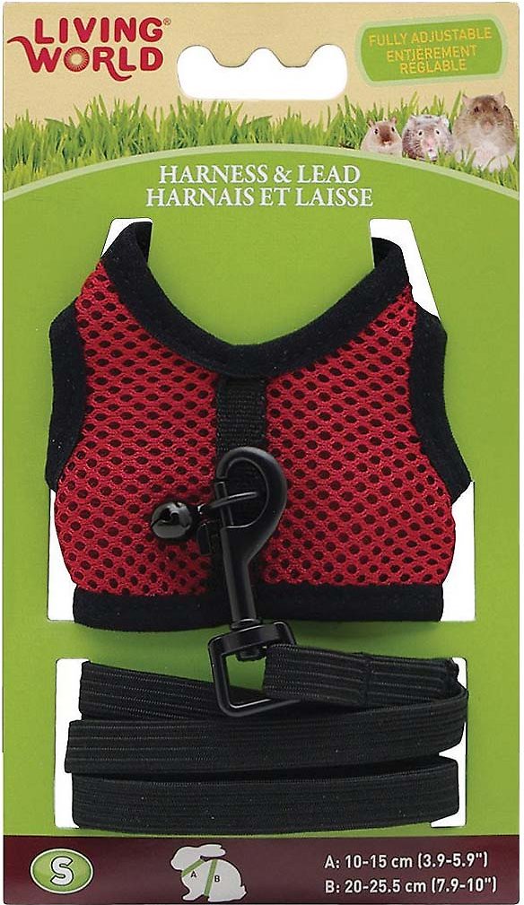 Living World Small Animal Harness & Lead, Color Varies