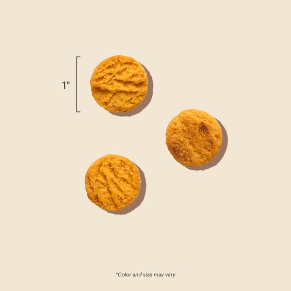 The Honest Kitchen Cheddar Biscuits Real Cheddar Cheese Dog Treats