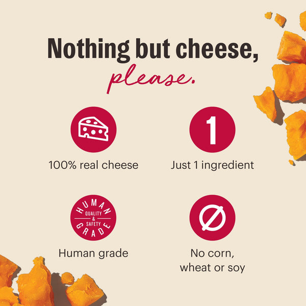 The Honest Kitchen Crunchy Cheese Bites Moon Cheese 100% Cheddar Cheese Dog Treats