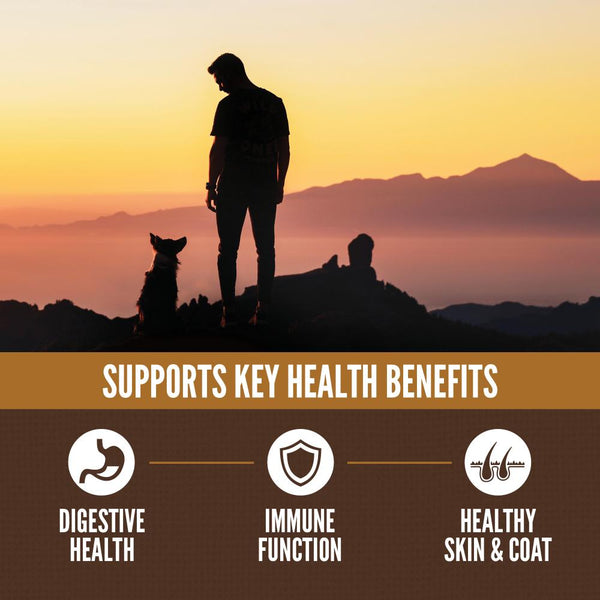 ORIJEN Amazing Grains Regional Red Dry Dog Food (CA)