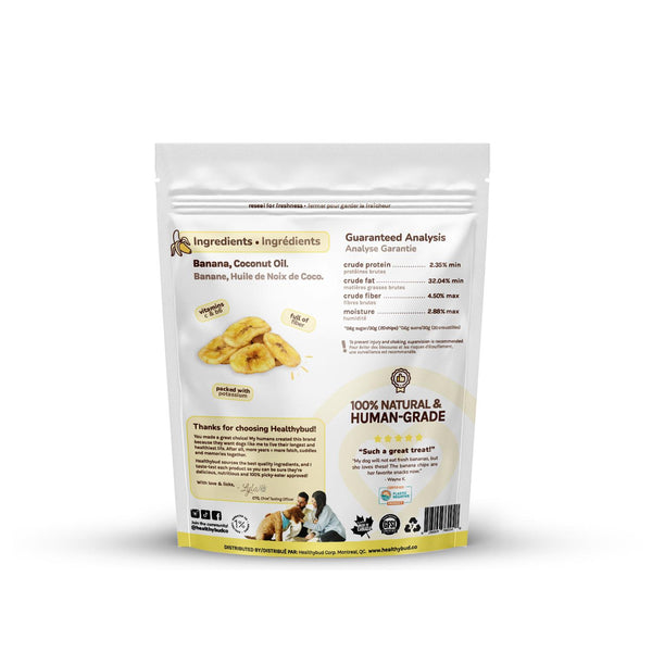 Healthybud Banana Chip Dog Treats