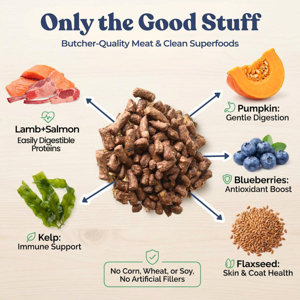 Healthybud Lamb + Salmon Meal Bites Freeze-Dried Dog Food