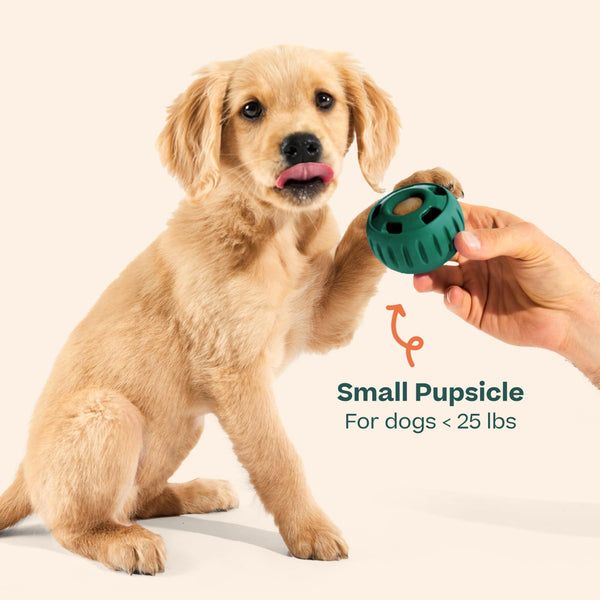Woof Pupsicle Treat Dispensing Dog Toy, Green (CA)