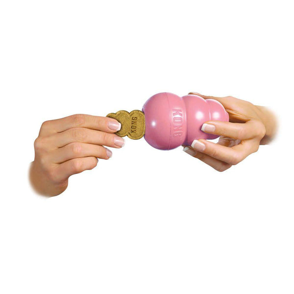 KONG Snacks Puppy Dog Treats