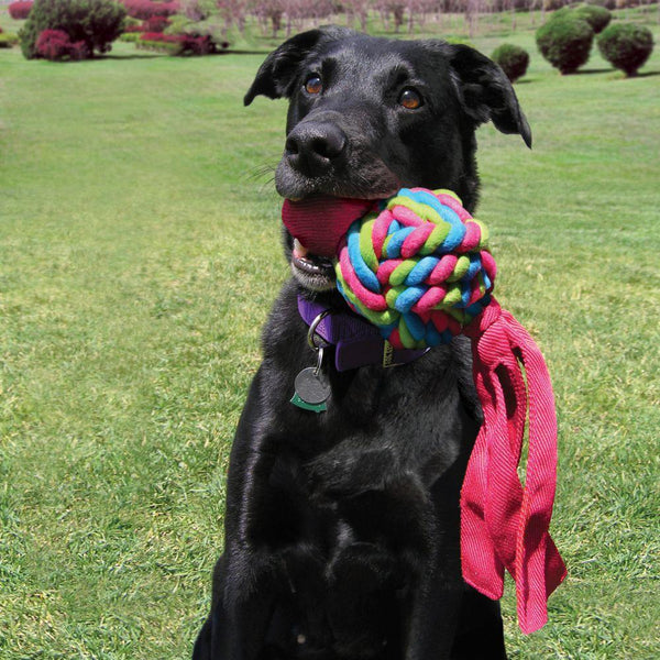 KONG Wubba Weaves Dog Toy, Color Varies