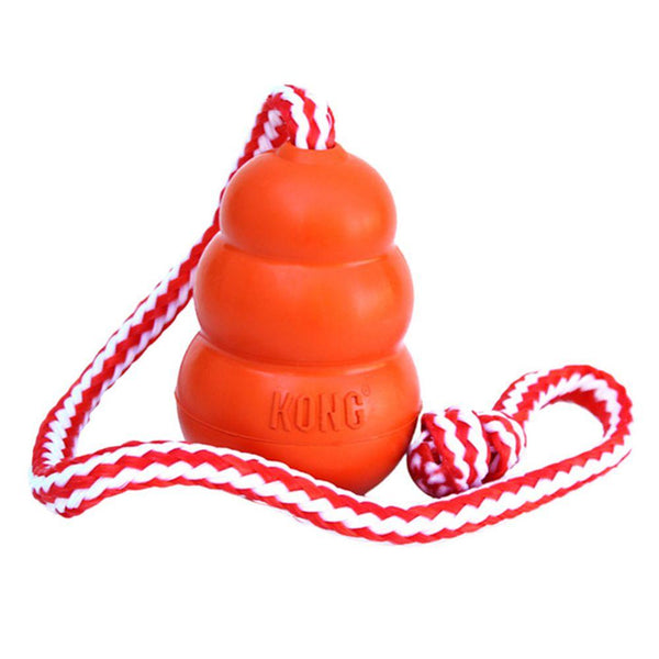 KONG Aqua Jouet pour Chien