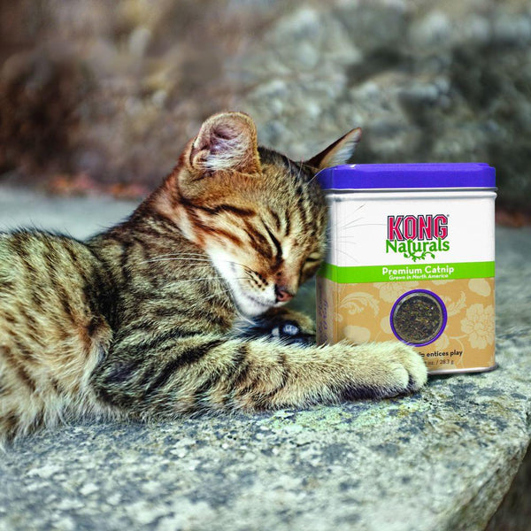 KONG Naturals Premium Cat Catnip