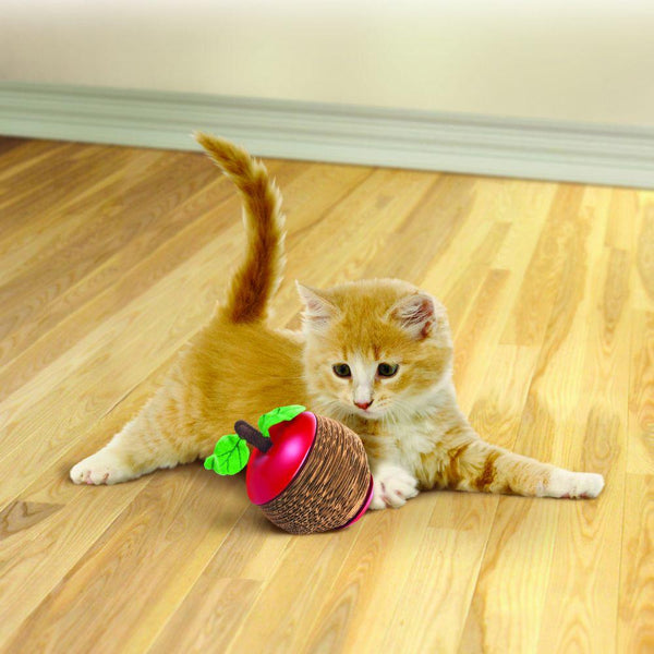 KONG Active Scratch Apple Cat Toy
