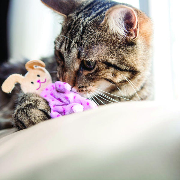 KONG Refillables Pajama Buddy Cat Toy, Assorted