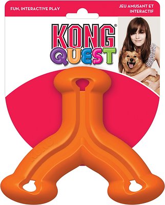 KONG Quest Wishbone Dog Toy, Color Varies