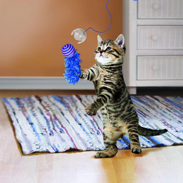 KONG Fishing Pole Teaser Cat Toy, Color Varies
