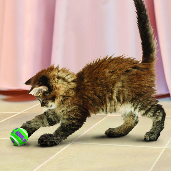 KONG Active Tennis Balls with Bells Cat Toy