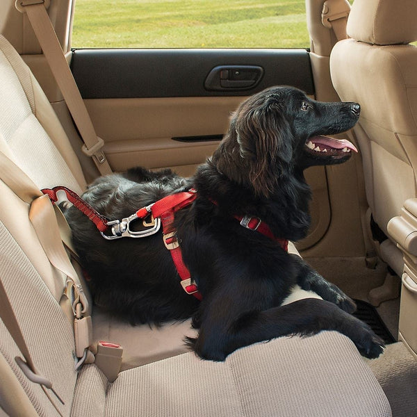 Kurgo Swivel Seat-Belt Tether