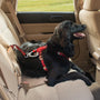 Kurgo Swivel Seat-Belt Tether