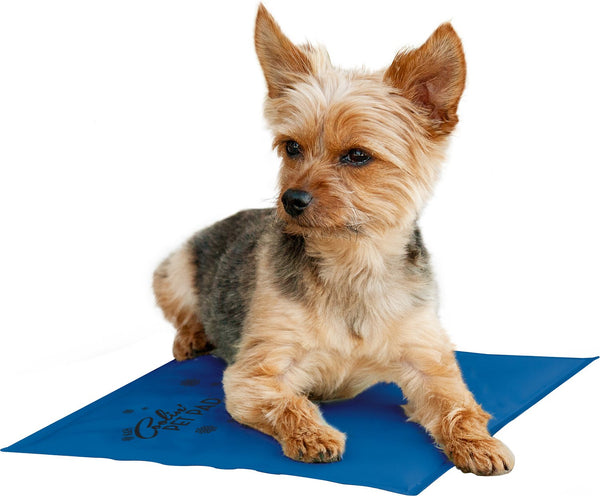 K&H Coolin' Pet Pad Dog Mat