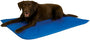 K&H Cool Bed III Panier pour chien, Bleu