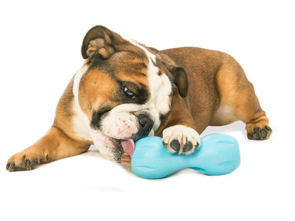 West Paw Zogoflex Qwizl Dog Toy, Aqua Blue